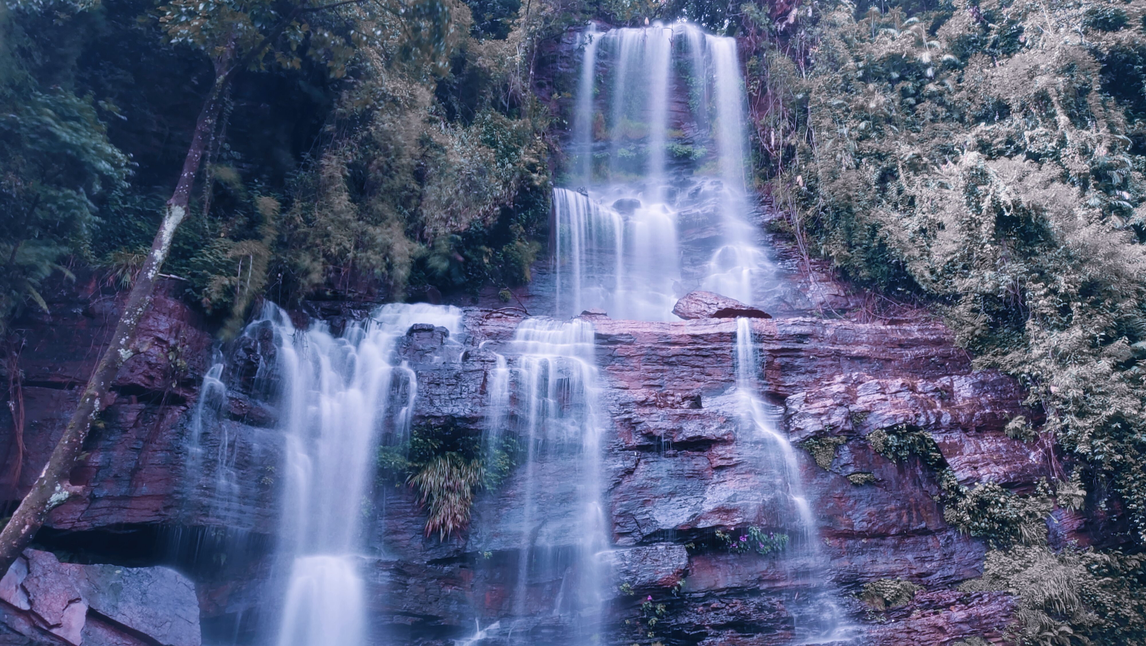 Kottagiri Camp - Ooty