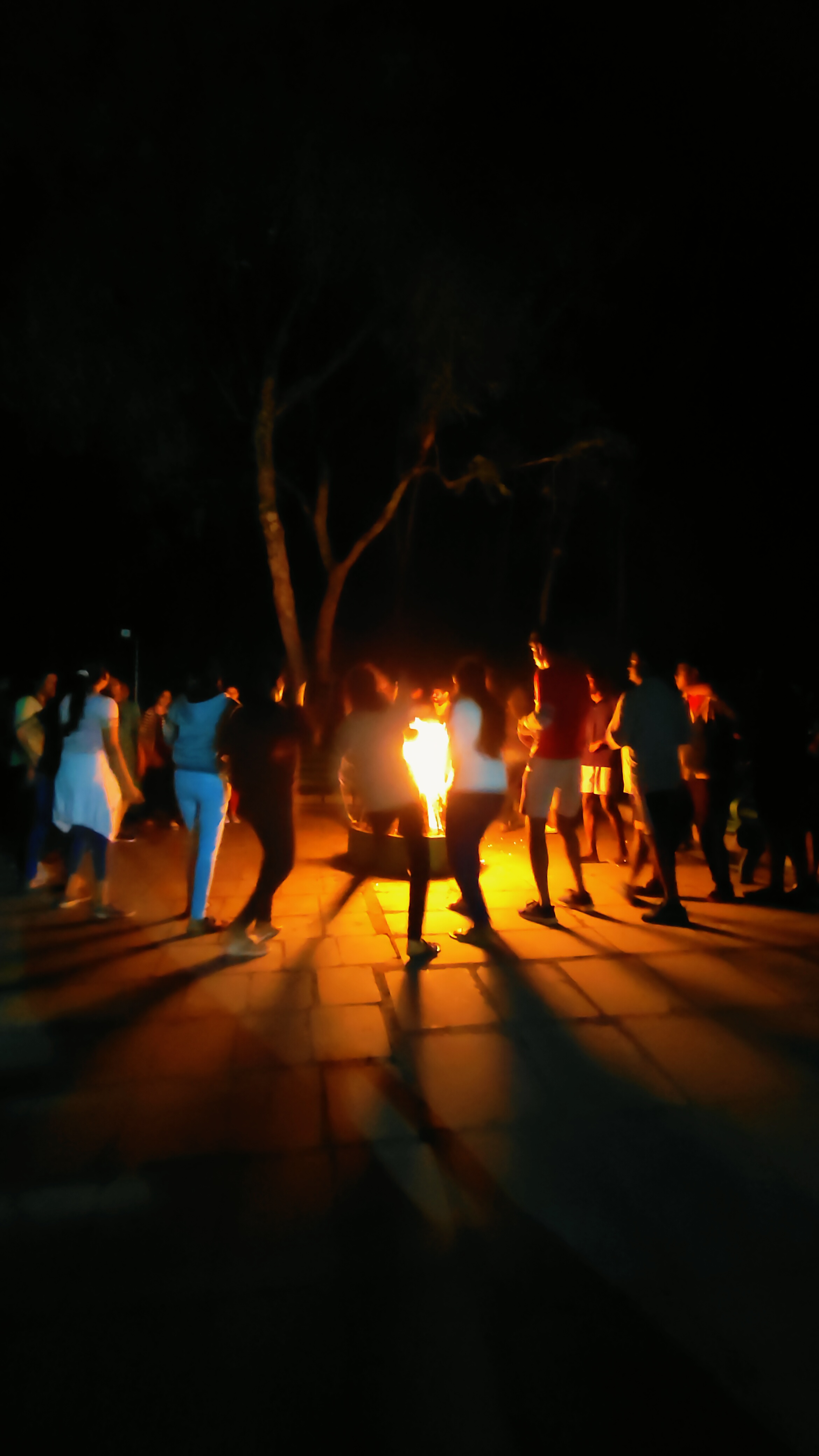 Kodanad Camp - Ooty