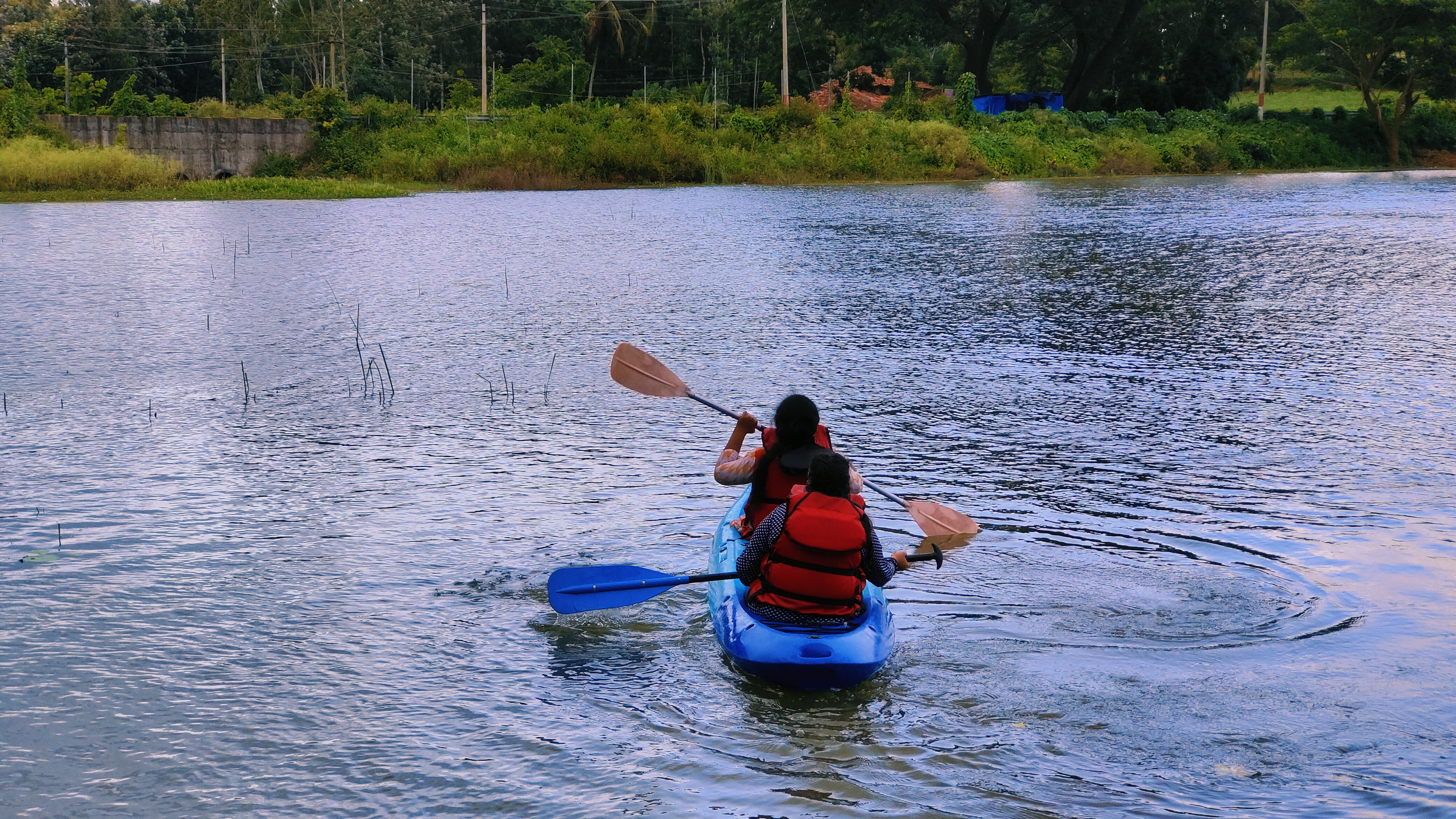 Munnar Camp #01