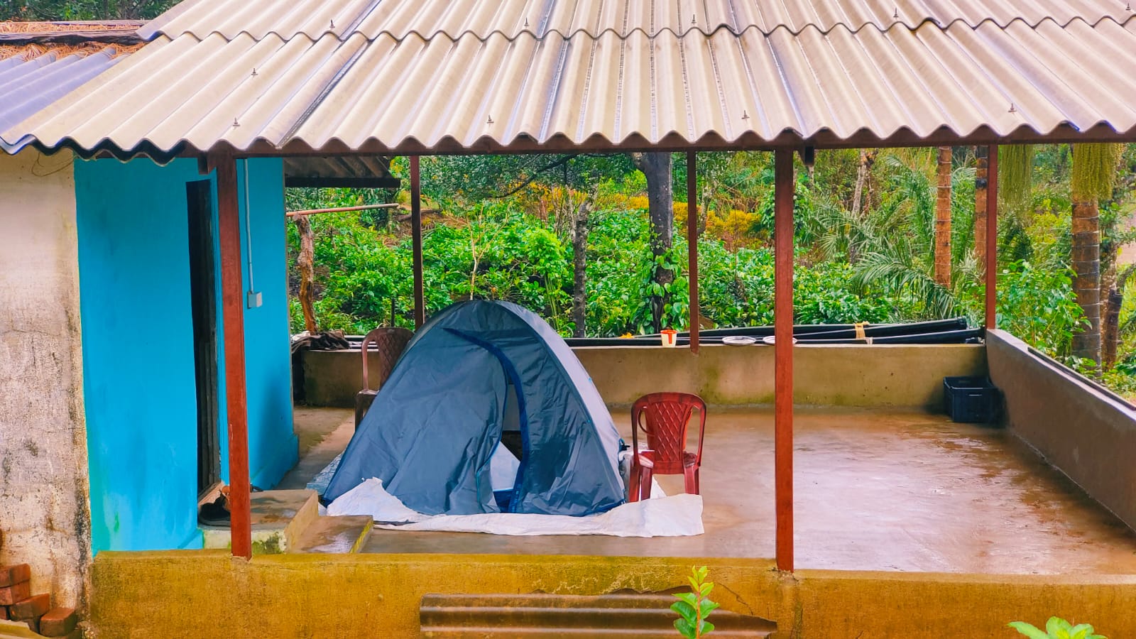 Coorg Forest Camping & Waterfalls Trek