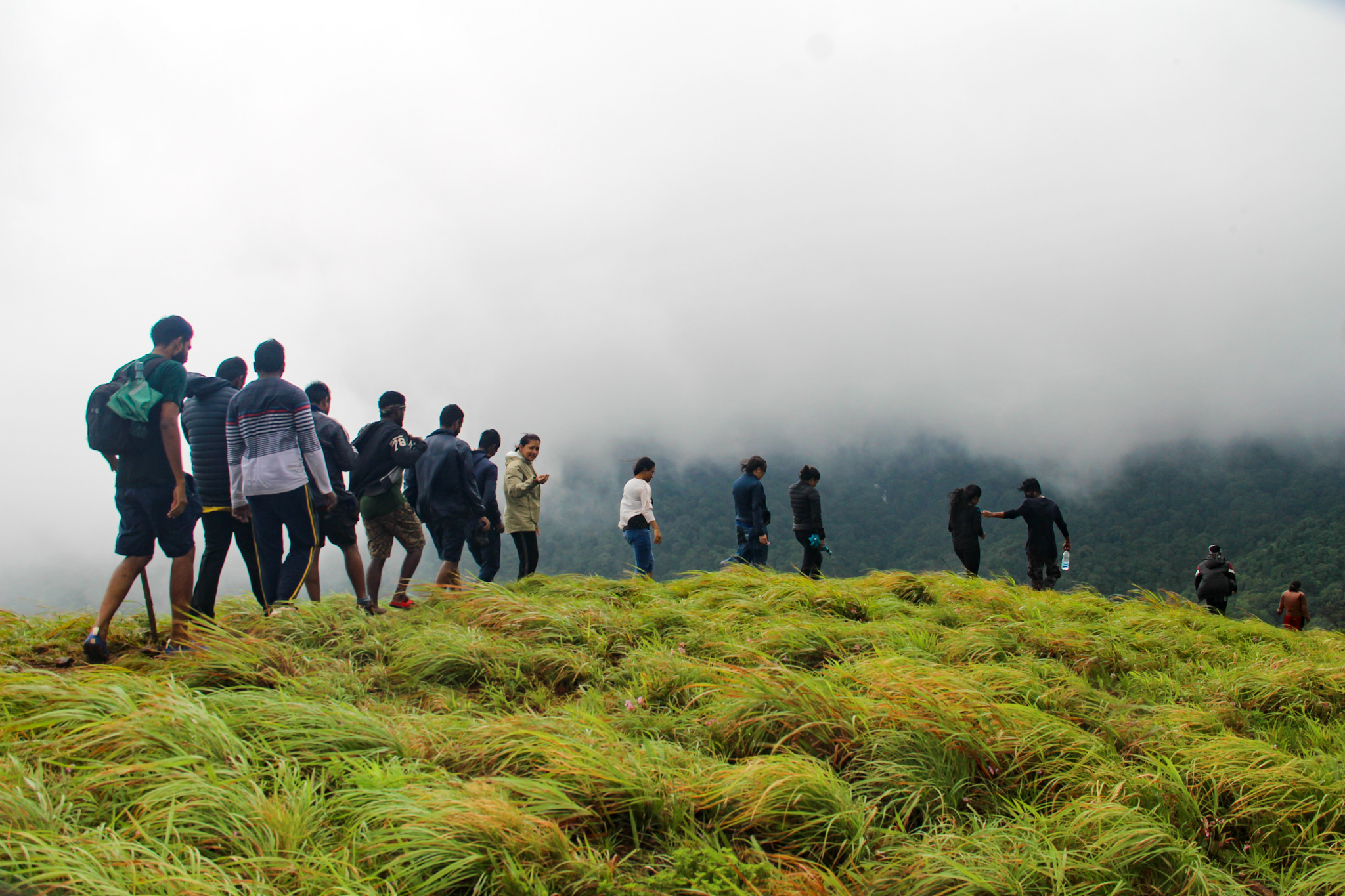 Island Camp - Kerala