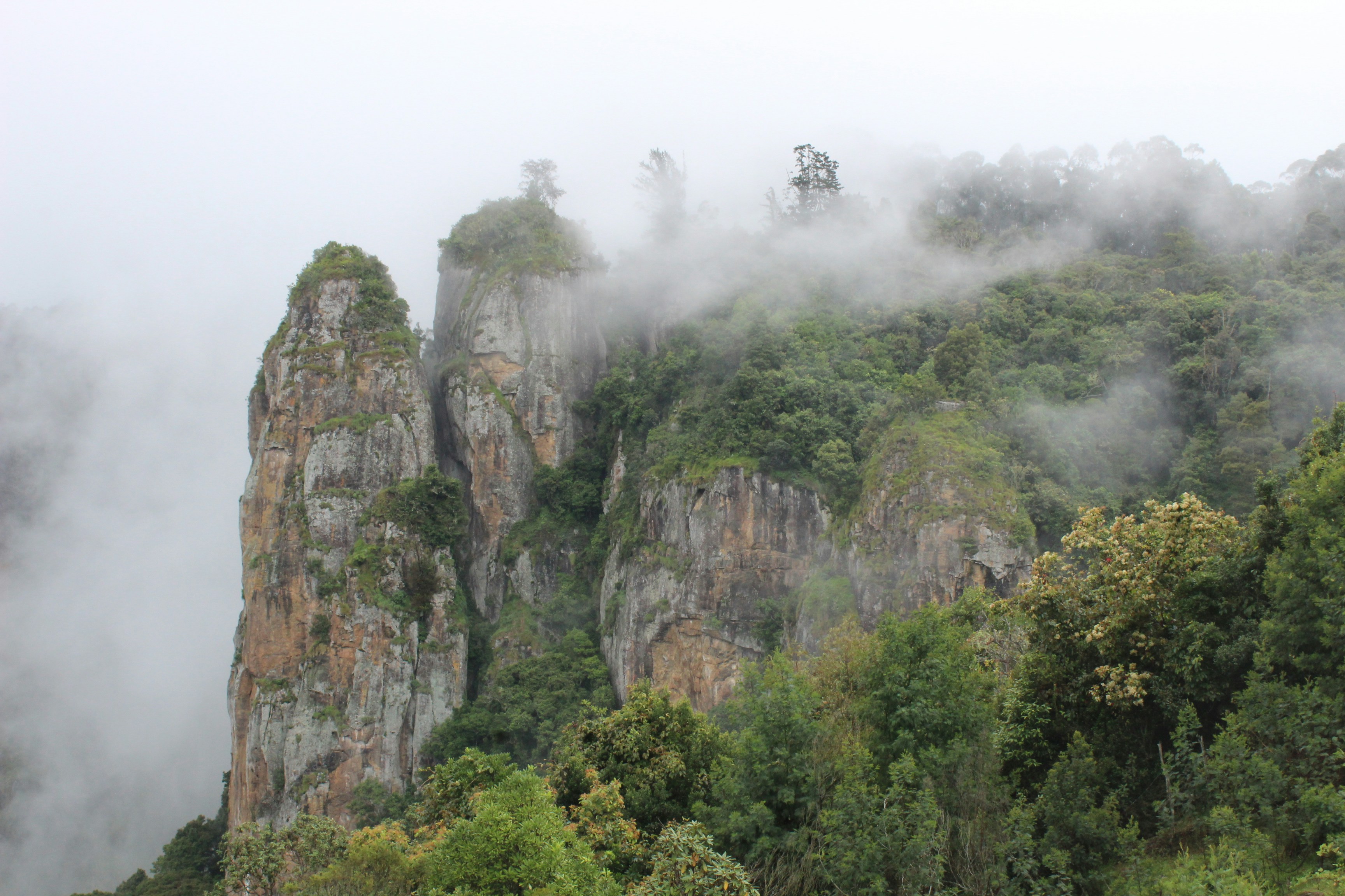 Kodaikanal Trip (1N/2days)